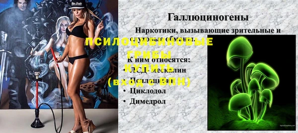 амф Елабуга
