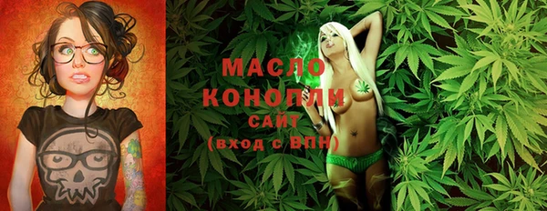 амф Елабуга