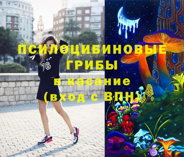 spice Заводоуковск