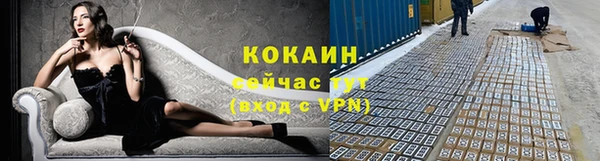 метадон Ельня